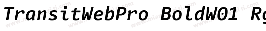 TransitWebPro BoldW01 Rg字体转换